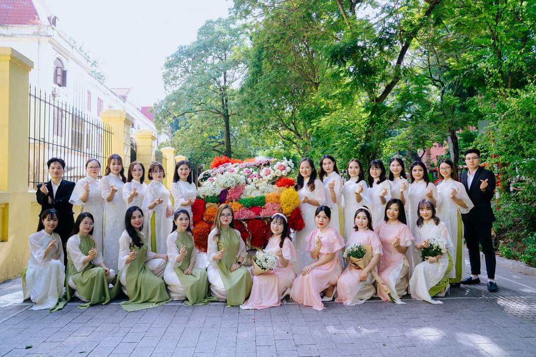lĩnh vực hoạt động